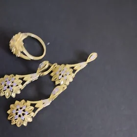 Bujiteriýa kamplekt