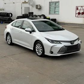 Toyota Corolla 2024