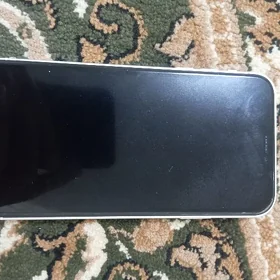 XR den 17pro max owrlen