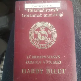 Ýiten Waenniblet