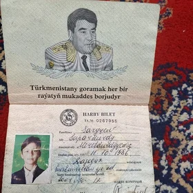 вайени билет