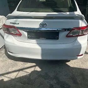 bagaz cyra