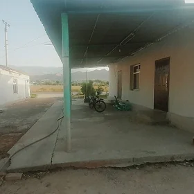 bagyr