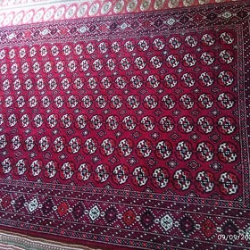 haly üc argac