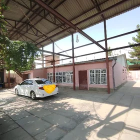 Anew Satlyk Jay 13 sotok 10kom