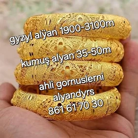 gyzyl kumuş alyan