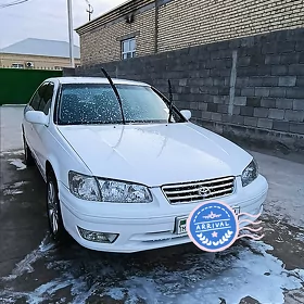 Toyota Camry 1999