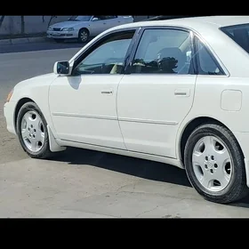 avalon disga