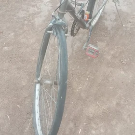 Velosiped