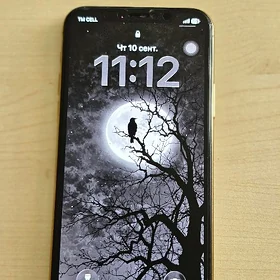 Iphone 11pro