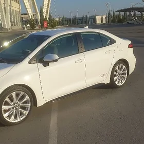 Toyota Corolla 2024