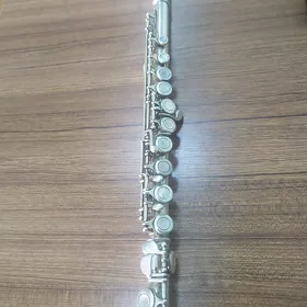 Fleýta
