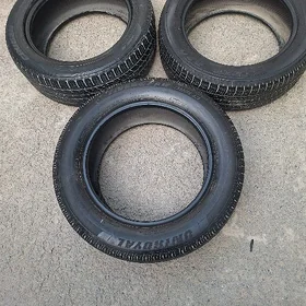 pakriska R18 teker