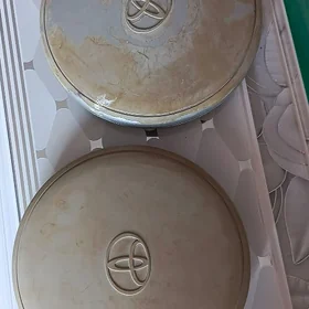 tayota kalpak
