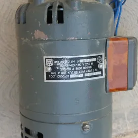 Elektro dwigatel