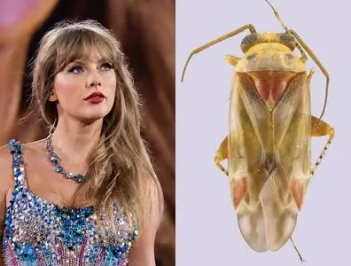 Tagtabitleriň täze urugyna Teýlor Swiftiň ady dakyldy