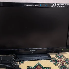 Monitor/TV 22"