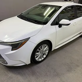 Toyota Corolla 2019