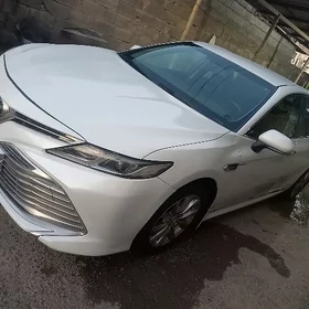 Toyota Camry 2019