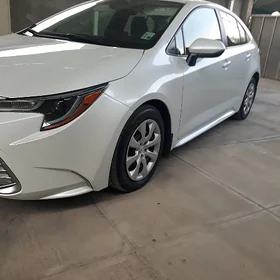 Toyota Corolla 2025
