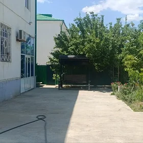 Tàze zaman kattej satlyk