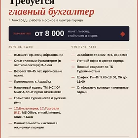 BAS BUHGALTER/ ГЛАВНЫЙ БУХГАЛТ