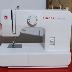 Singer