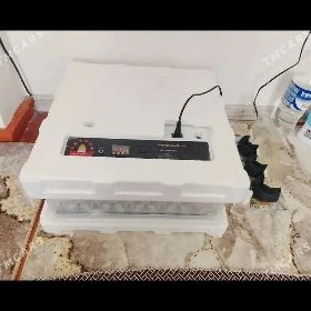 70lik inkubator