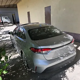 Toyota Corolla 2024