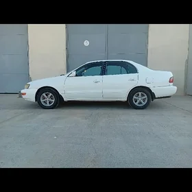 14lik disga corona carina