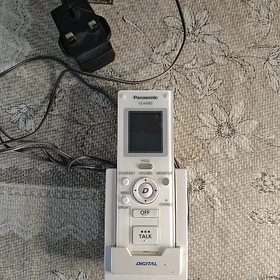 Panasonic