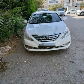 Hyundai Sonata 2010