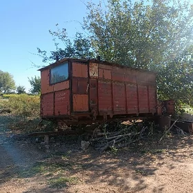 MTZ 80 2006