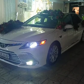Toyota Camry 2019