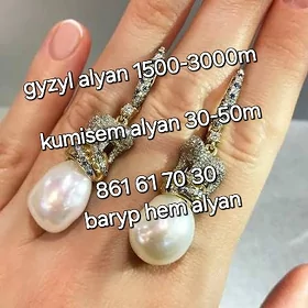 gyzyl alyan izdelya