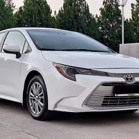 Toyota Corolla 2022