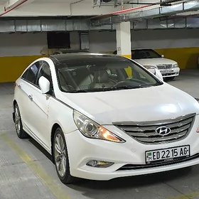 Hyundai Sonata 2010