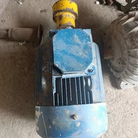diwitil