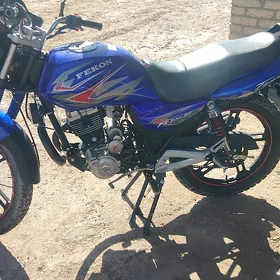 Fekon FK150-8G 2014