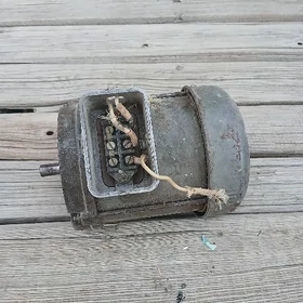 Motor