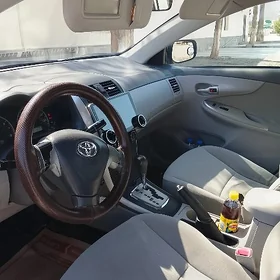Toyota Corolla 2010
