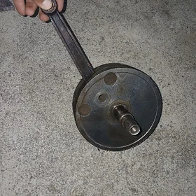 iź wal