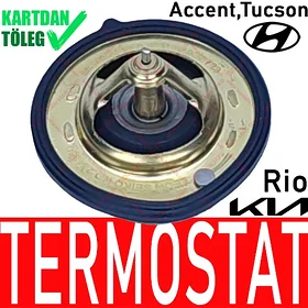 TERMOSTAT GAMMA 82℃ ТЕРМОСТАТ