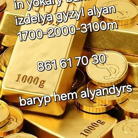 gyzyl alyan in yokary bahadan