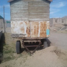 Wagon