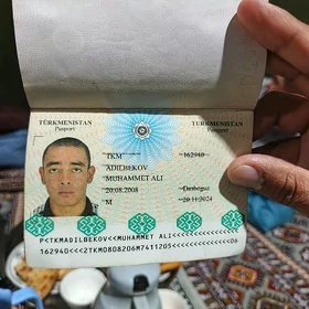 paspyrt