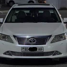Toyota Aurion 2013