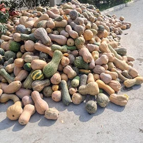 işgàr gerek