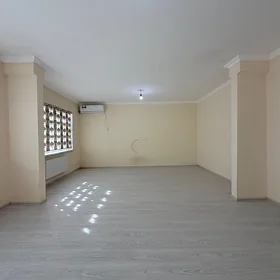 Änew panelka taýyn dokument