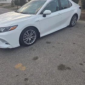 Toyota Camry 2020